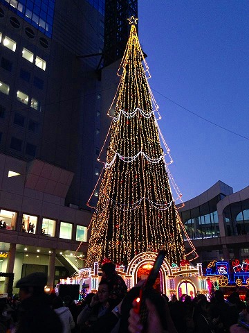 a0152391_20235727.jpg