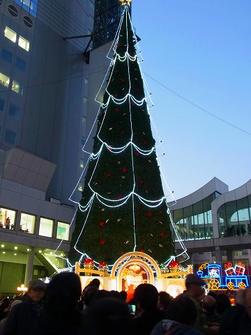 a0152391_20242950.jpg