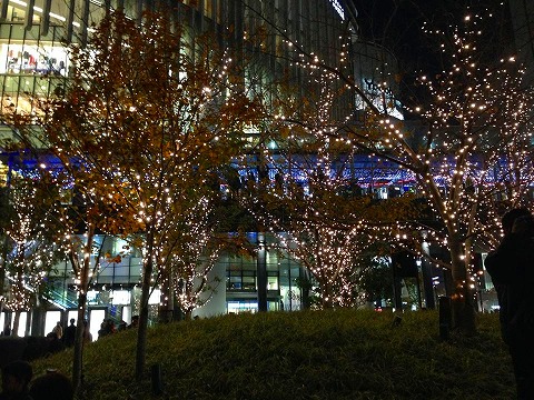 a0152391_2026481.jpg