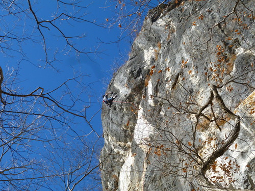 b0146794_21472323.jpg