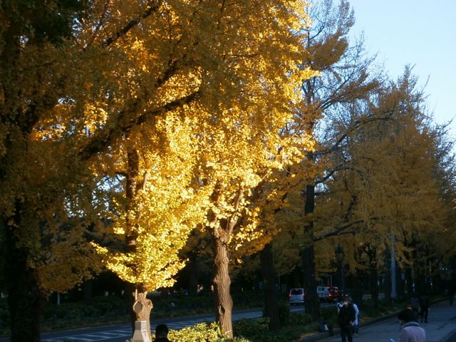 f0130894_22193572.jpg