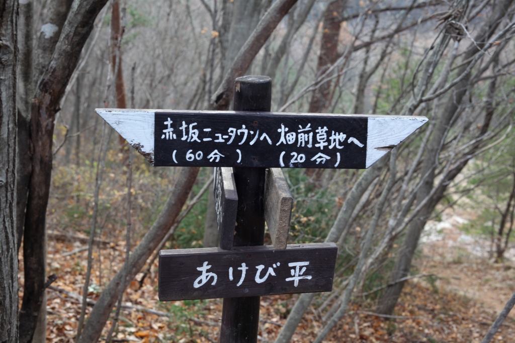 b0050305_1825886.jpg