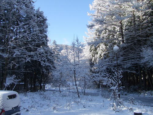 f0161708_2147445.jpg