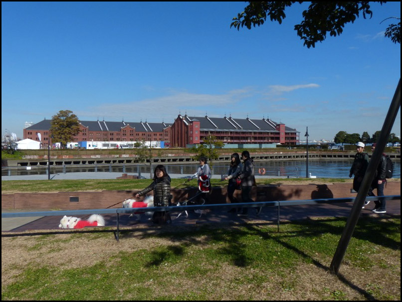f0208209_15473063.jpg