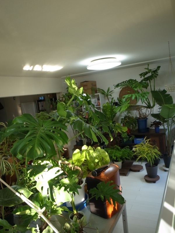 e0276411_104411.jpg