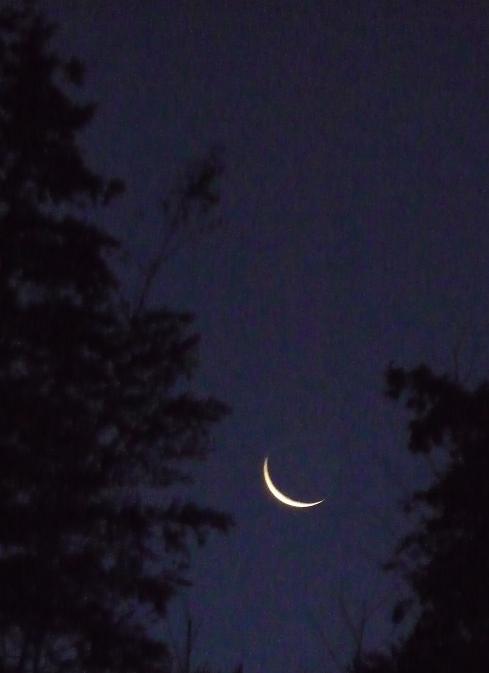 c0202113_14375122.jpg