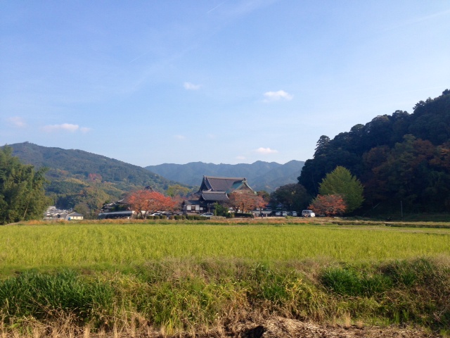 d0007913_22281.jpg