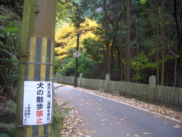 e0033713_13250284.jpg