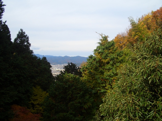 e0033713_13545500.jpg