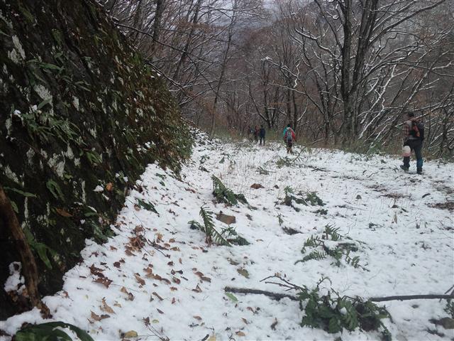 a0127015_2036756.jpg