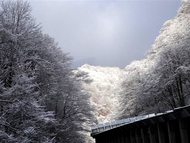 a0127015_2045346.jpg