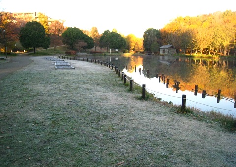 c0084117_19452265.jpg