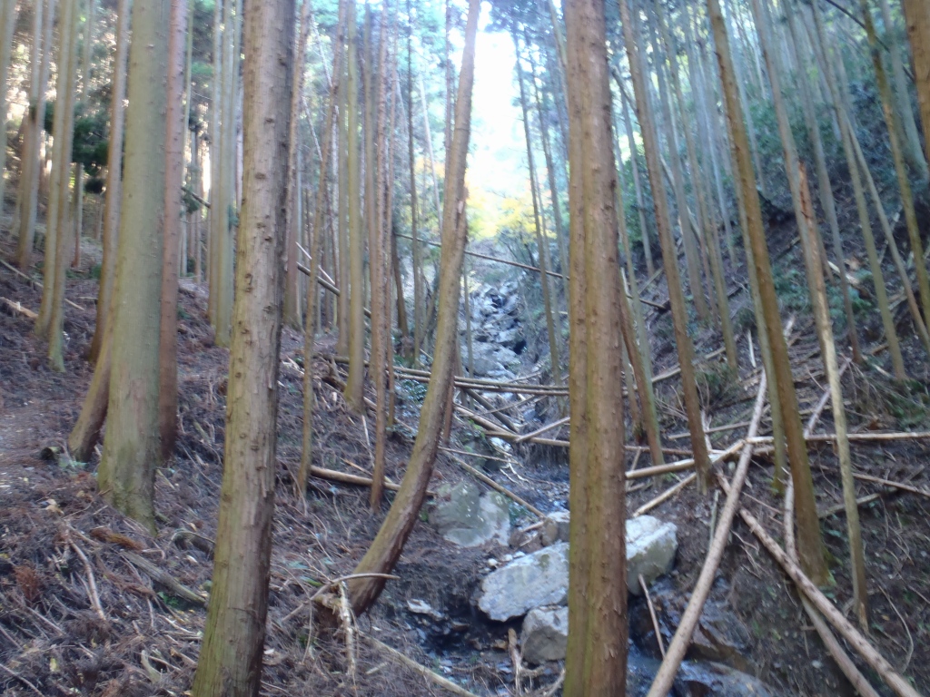 e0171018_042838.jpg