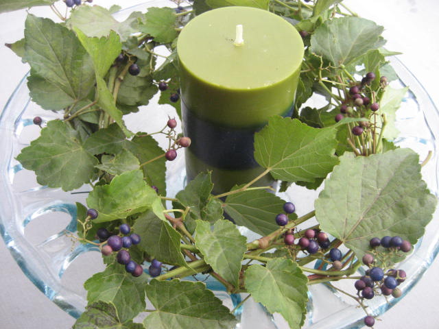 f0139520_18183633.jpg