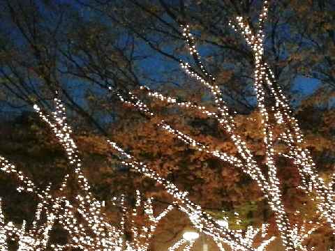 e0047322_23522197.jpg
