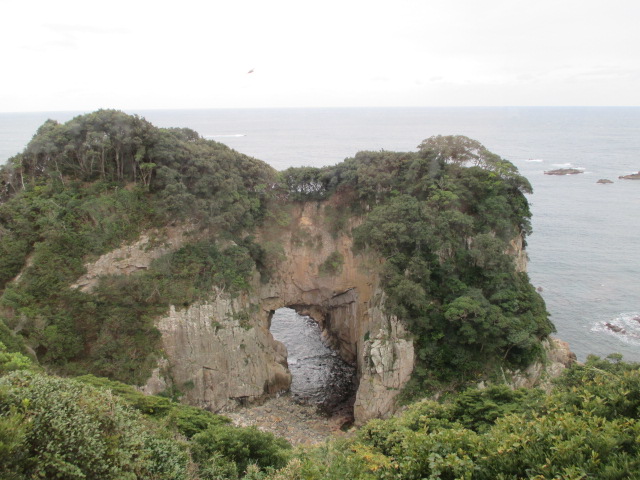 e0130722_1737346.jpg