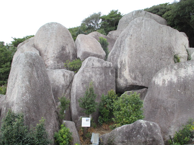e0130722_17514794.jpg
