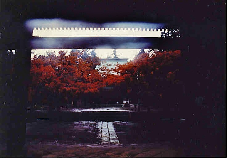 b0252727_144581.jpg
