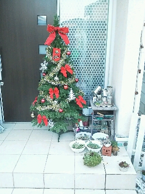 f0277327_21562741.jpg