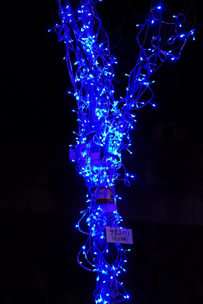 d0250028_17235394.jpg