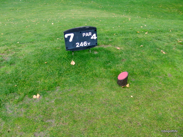c0199829_17532814.jpg