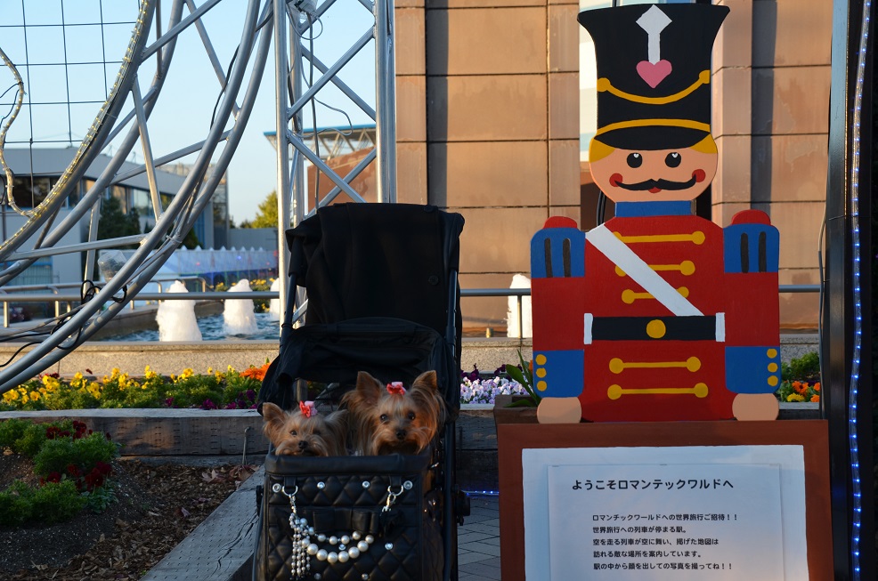 f0124830_21121888.jpg