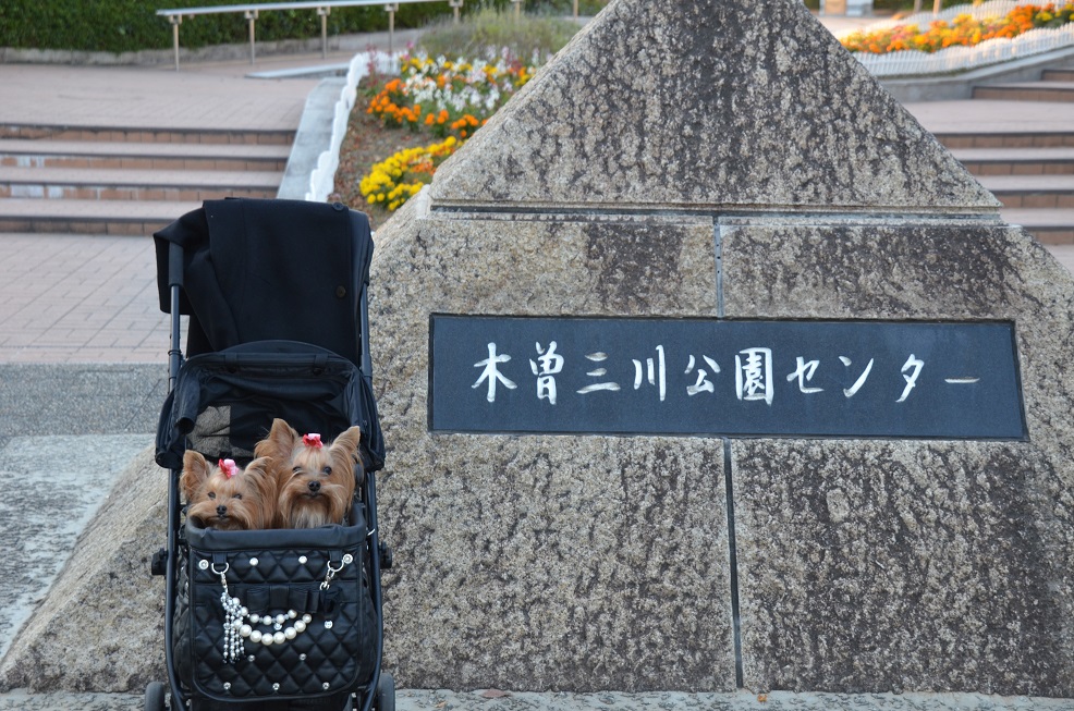 f0124830_2165340.jpg