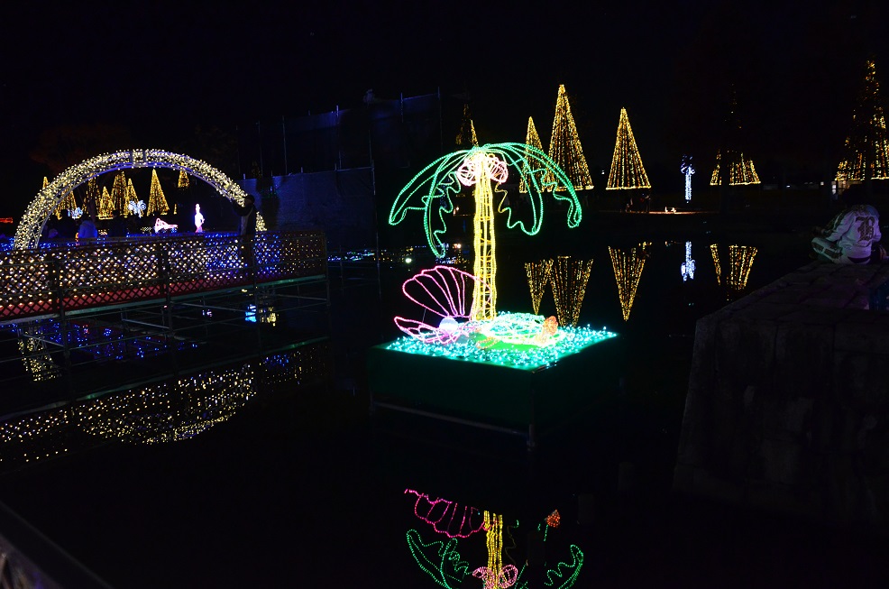 f0124830_23453135.jpg