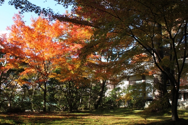 b0272531_14165629.jpg