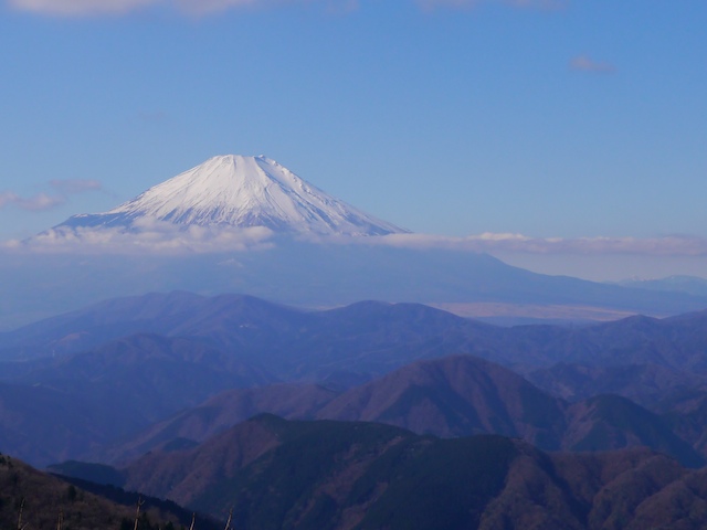 c0093131_1339381.jpg