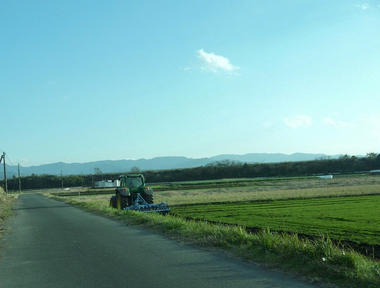 a0206332_1134404.jpg