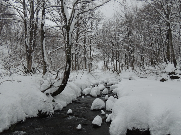 f0118332_13205930.jpg