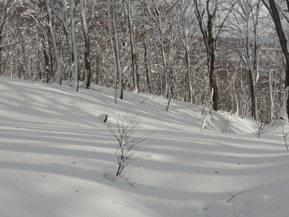 f0118332_133119.jpg