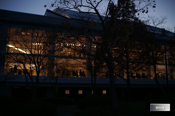 c0227134_2120587.jpg