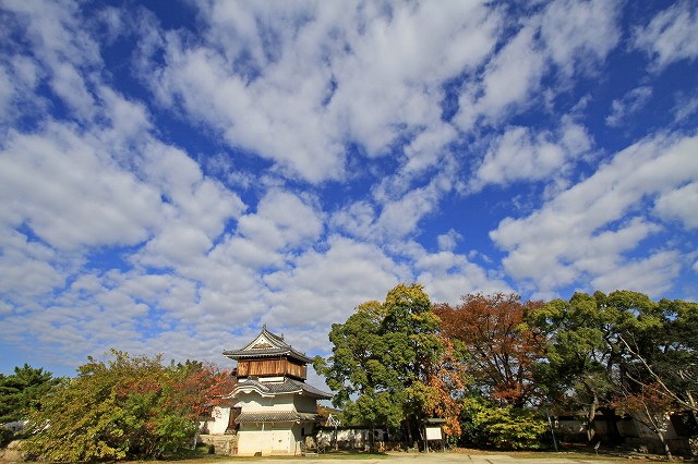 a0242438_19591353.jpg