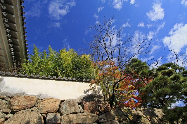 a0242438_19592459.jpg