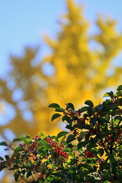 a0242438_1959372.jpg
