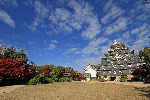 a0242438_19594067.jpg