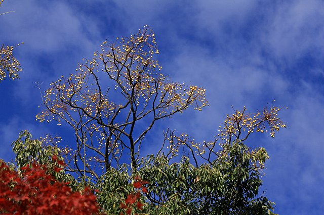 a0242438_19594186.jpg
