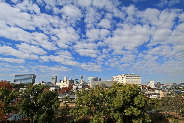 a0242438_1959710.jpg