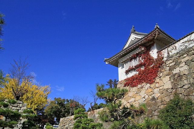 a0242438_2001974.jpg