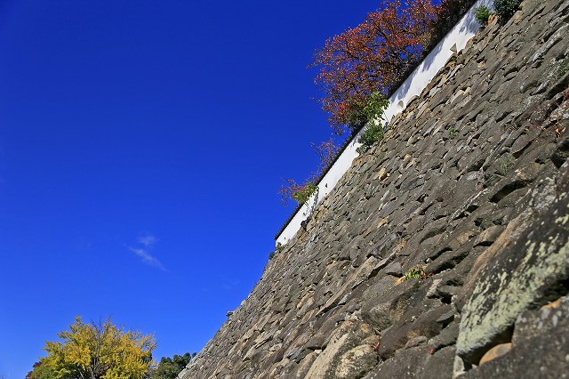 a0242438_2002485.jpg