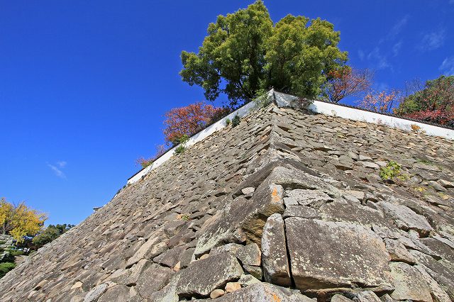 a0242438_2002980.jpg