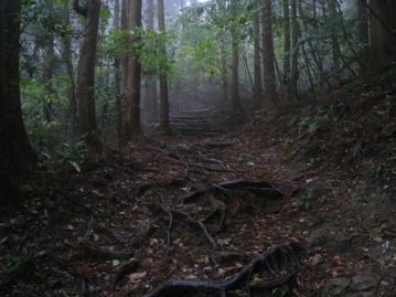 c0077338_2028343.jpg