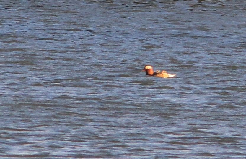 c0172139_10303061.jpg