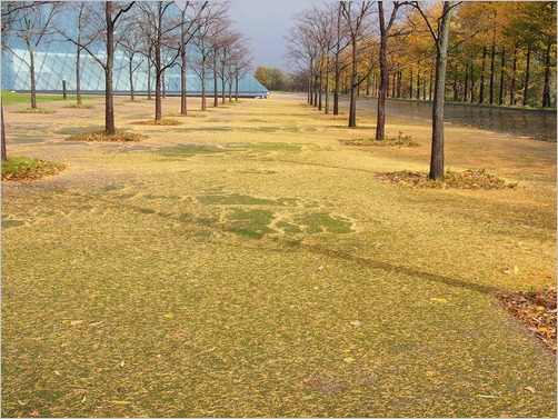 e0022839_21384772.jpg