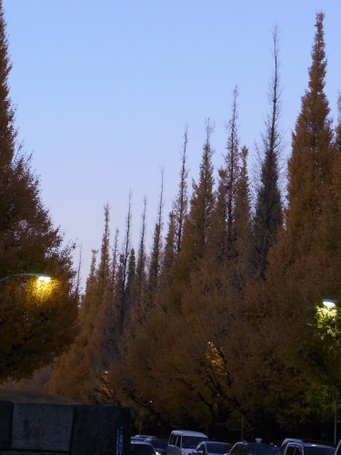 e0242839_19531217.jpg