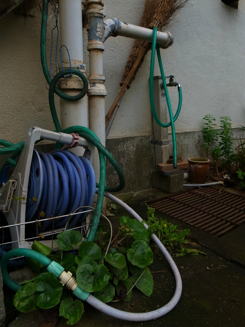 a0087341_23172577.jpg