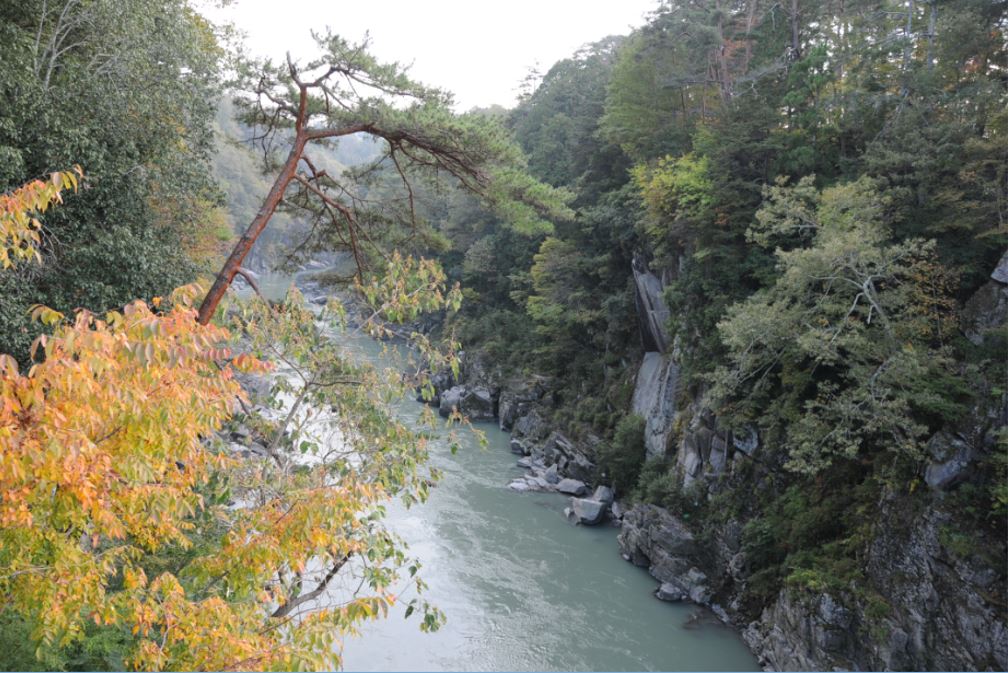 c0147241_20245616.jpg