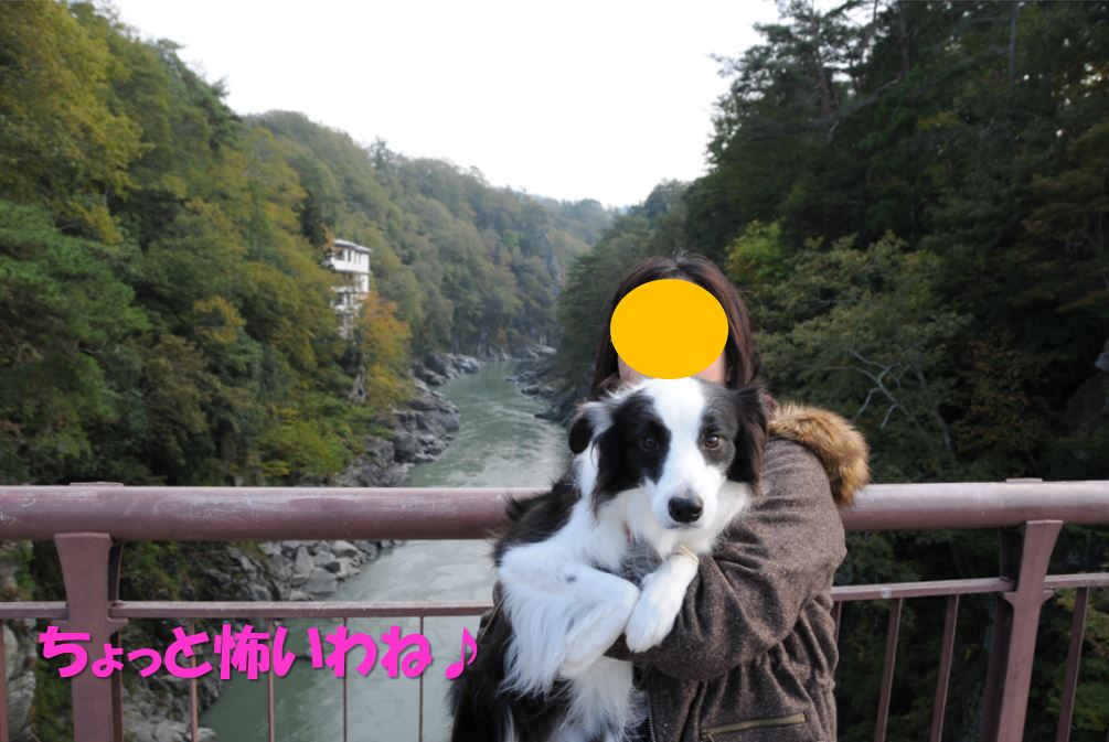 c0147241_2025257.jpg